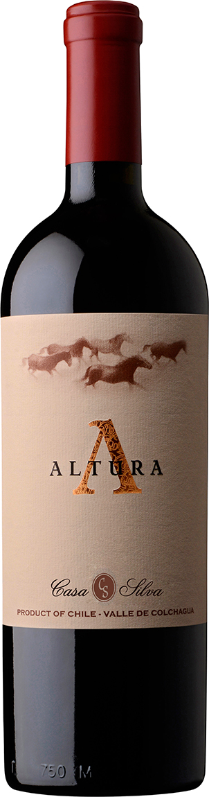 Casa Silva Altura