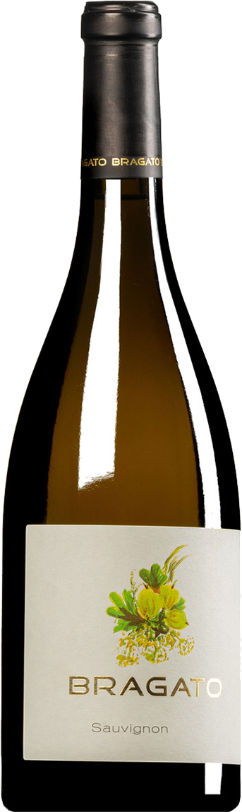 Bragato Sauvignon Blanc | Colli Orientali del Friuli | D.O.C.