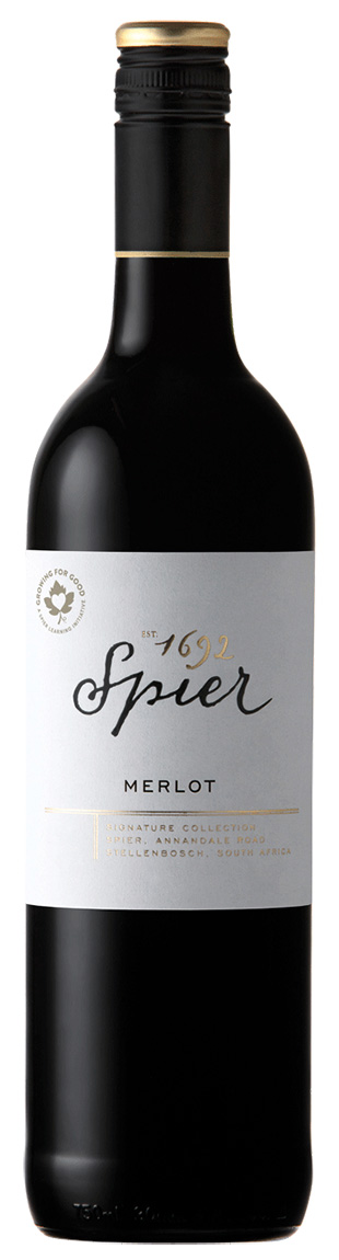 Spier Signature Merlot