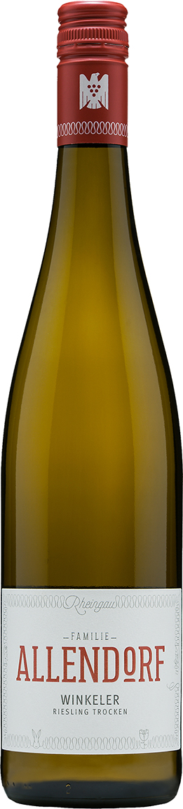 Allendorf Winkeler Riesling | VDP Ortswein Trocken!