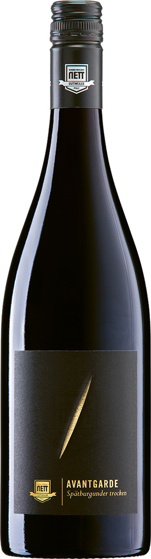 Bergdolt-Reif Spätburgunder | Rotwein Trocken AVANTGARDE!