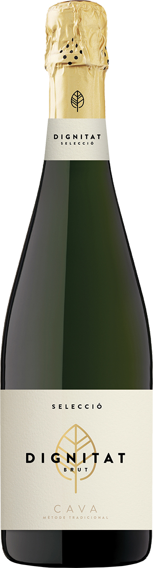 Josep Masachs Cava | Dignitat Brut